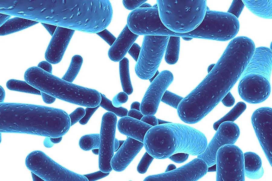 Probiotici, ecco perché fanno così bene alla salute