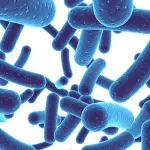 Probiotici, ecco perché fanno così bene alla salute